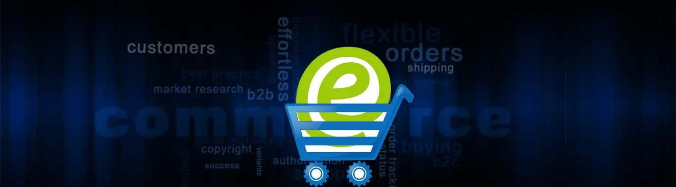 Amazon / Ebay E-Commerce solutions